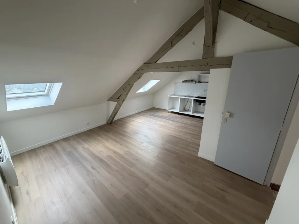 Séjour ouvert sur la cuisine équipée après rénovation complète à Angers